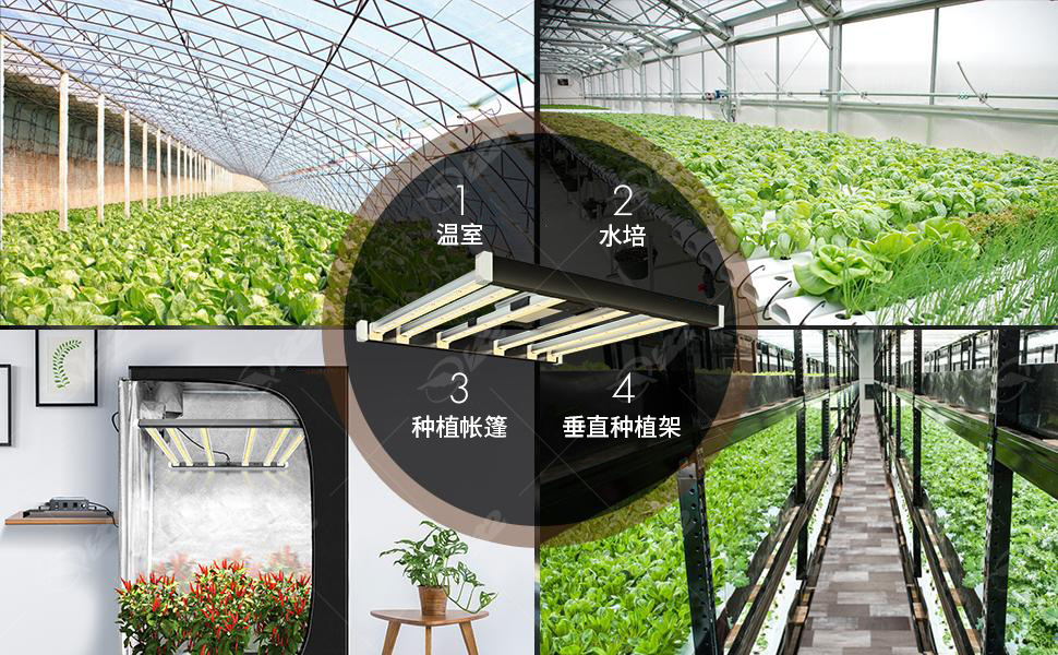 wifi智能LED植物灯方案